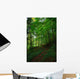 Path Forest Wall Decal