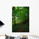 Path Forest Wall Decal