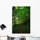 Path Forest Wall Decal