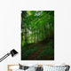 Path Forest Wall Decal