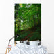 Path Forest Wall Decal