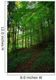 Path Forest Wall Decal