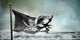 Ripped Torn Flag Wall Decal