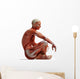 Anatomy Muscles Wall Decal