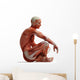 Anatomy Muscles Wall Decal