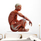 Anatomy Muscles Wall Decal