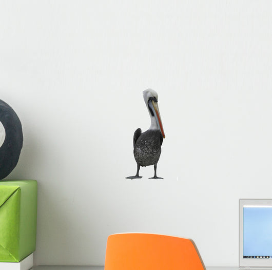 Pelican Wall Decal