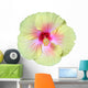 White and Pink Hibiscus Wall Decal