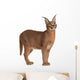 Caracal Caracal 6 Wall Decal Design 2