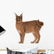 Caracal Caracal 6 Wall Decal Design 1