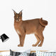 Caracal Caracal 6 Wall Decal Design 1