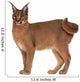 Caracal Caracal 6 Wall Decal Design 1