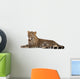 Young Resting Leopard Wall Decal