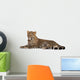 Young Resting Leopard Wall Decal