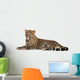 Young Resting Leopard Wall Decal