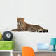 Young Resting Leopard Wall Decal