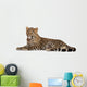 Young Resting Leopard Wall Decal