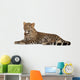 Young Resting Leopard Wall Decal