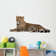 Young Resting Leopard Wall Decal