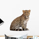 Leopard Wall Decal
