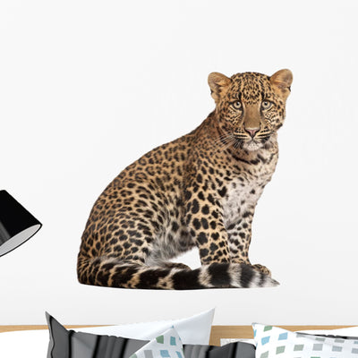 Leopard Wall Decal shown on a wall