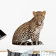 Leopard Wall Decal