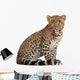 Leopard Wall Decal