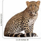 Leopard Wall Decal