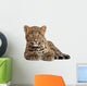 Leopard Panthera Pardus 6 Wall Decal Design 2