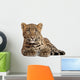 Leopard Panthera Pardus 6 Wall Decal Design 2