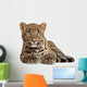 Leopard Panthera Pardus 6 Wall Decal Design 2