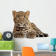 Leopard Panthera Pardus 6 Wall Decal Design 2