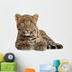 Leopard Panthera Pardus 6 Wall Decal Design 2