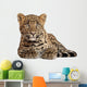 Leopard Panthera Pardus 6 Wall Decal Design 2