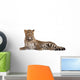 Leopard Panthera Pardus 6 Wall Decal Design 1