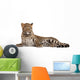 Leopard Panthera Pardus 6 Wall Decal Design 1