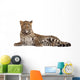 Leopard Panthera Pardus 6 Wall Decal Design 1