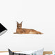 Caracal Caracal Caracal 6 Months Old Wall Decal