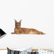 Caracal Caracal Caracal 6 Months Old Wall Decal