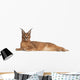 Caracal Caracal Caracal 6 Months Old Wall Decal