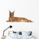 Caracal Caracal Caracal 6 Months Old Wall Decal