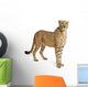 Cheetah Acinonyx Jubatus 18 Wall Decal Design 5