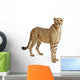 Cheetah Acinonyx Jubatus 18 Wall Decal Design 5