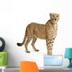 Cheetah Acinonyx Jubatus 18 Wall Decal Design 5