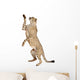 Cheetah Acinonyx Jubatus 18 Wall Decal Design 4