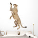 Cheetah Acinonyx Jubatus 18 Wall Decal Design 4
