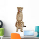 Cheetah Acinonyx Jubatus 18 Wall Decal Design 2