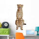 Cheetah Acinonyx Jubatus 18 Wall Decal Design 2