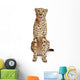 Cheetah Acinonyx Jubatus 18 Wall Decal Design 2