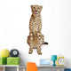 Cheetah Acinonyx Jubatus 18 Wall Decal Design 2
